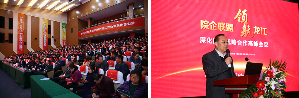 1511487955392249.jpg 3.jpg