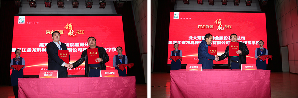 1511487975652434.jpg 6.jpg