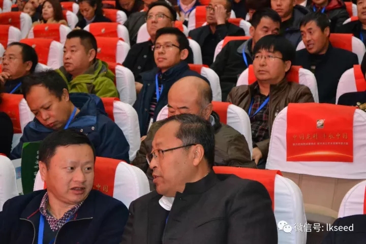 1512545063817797.jpg 4.webp.jpg