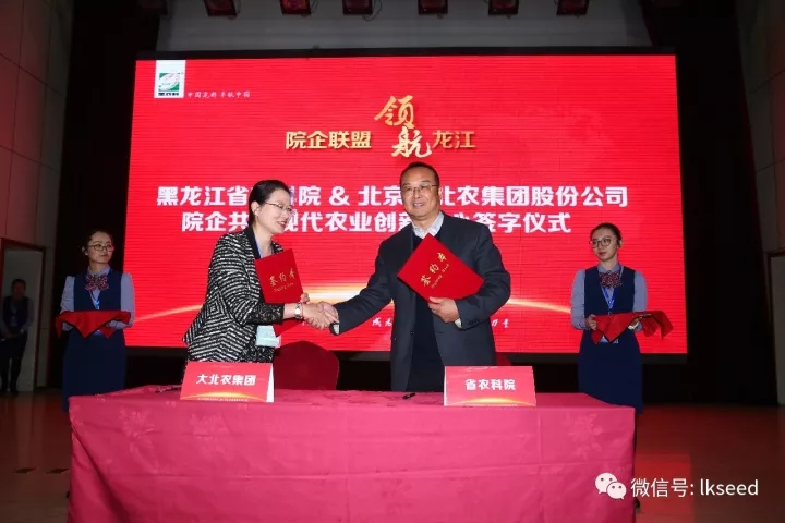 1512545723755214.jpg 10.webp.jpg