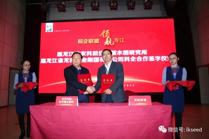 1512545782984192.jpg 11.webp.jpg