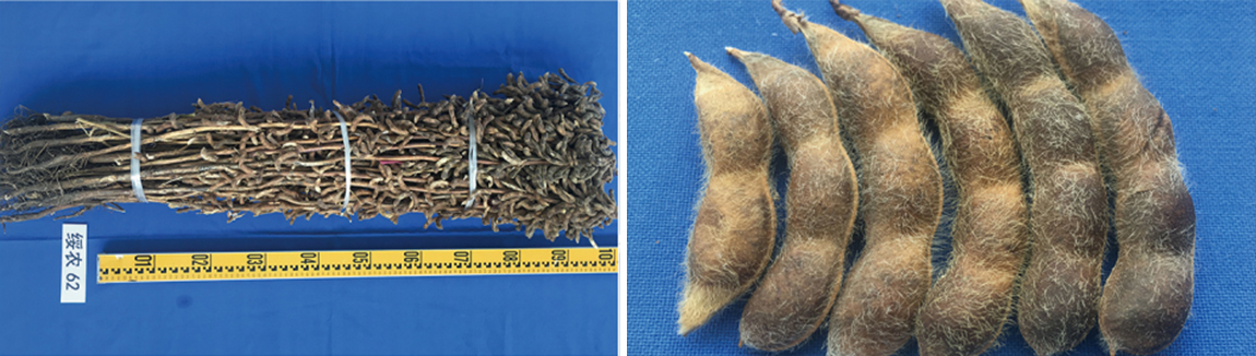 1677826909601930.jpg 1.jpg